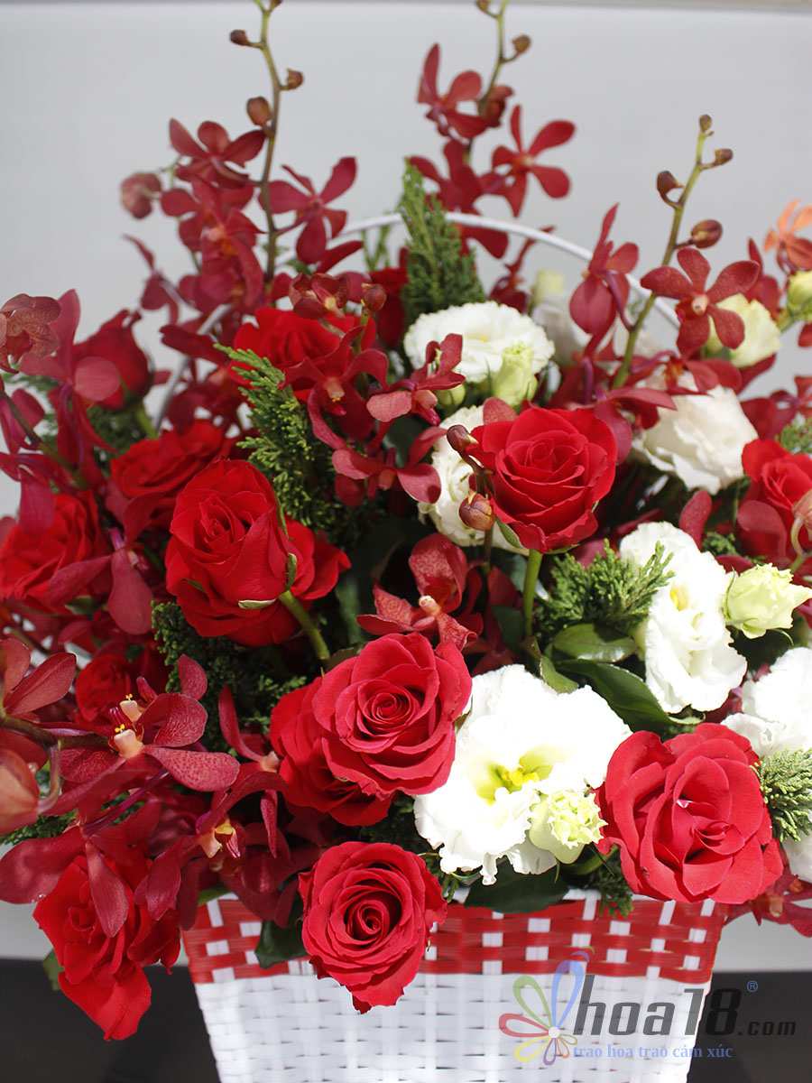 Lẵng hoa hồng đỏ đẹp rực rỡ là sự lựa chọn hoàn hảo cho bạn